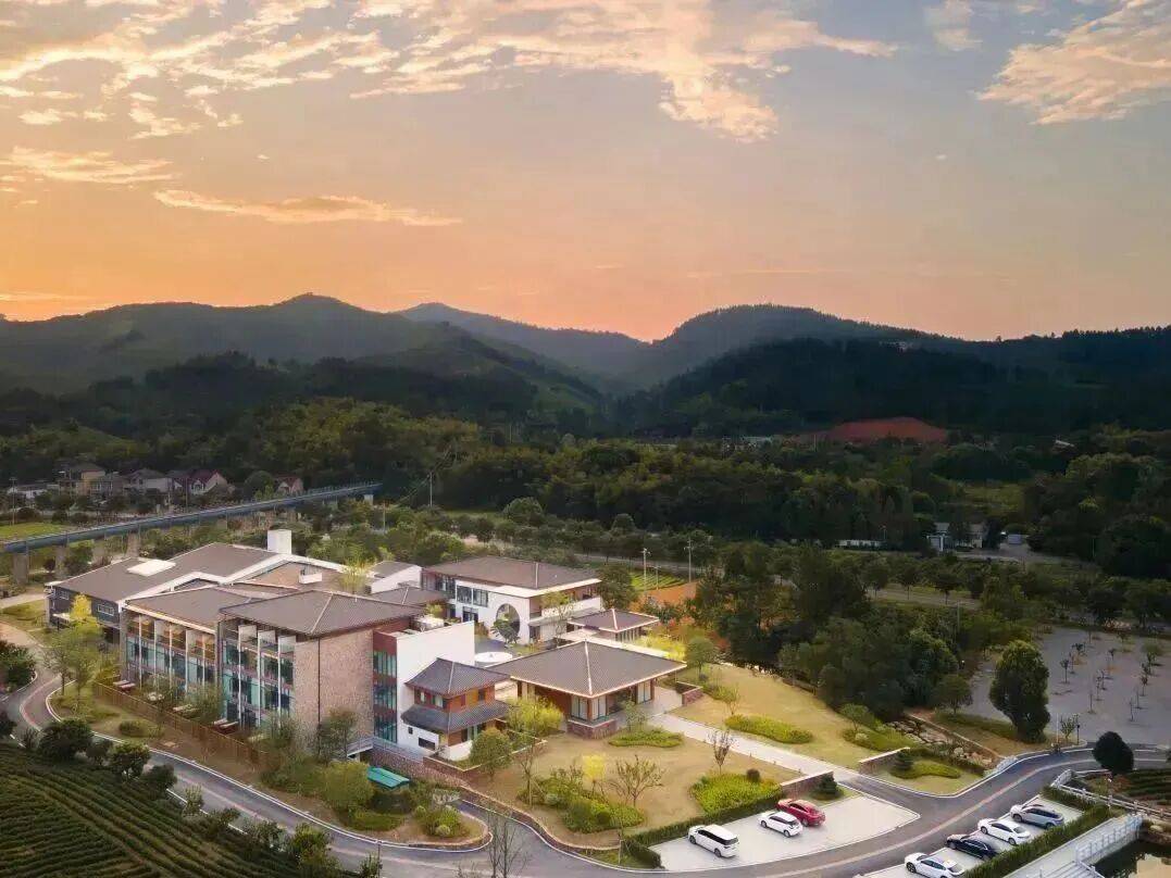 金马迎春！679元【安吉|茗静园山居度假酒店】在360°茶园里解锁“茶园+温泉”的神仙体验，赠免费棋牌唱歌，游考古遗址公园