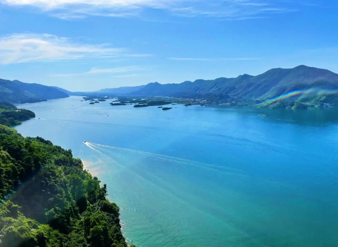 64855c3baf361f06529ffab79b66d085-sz_148644