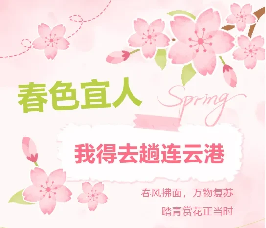 64b4216cdbdfbbf403a4a7710e1016df-sz_165101