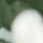 64bf82cac837ee49fccf6b072cf1ebcb_sz-1143469-3