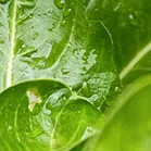 64bf82cac837ee49fccf6b072cf1ebcb_sz-1143469-7