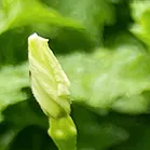 64bf82cac837ee49fccf6b072cf1ebcb_sz-1143469-8