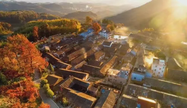 650d31ce21a12271a491196212f6b98a-sz_457034