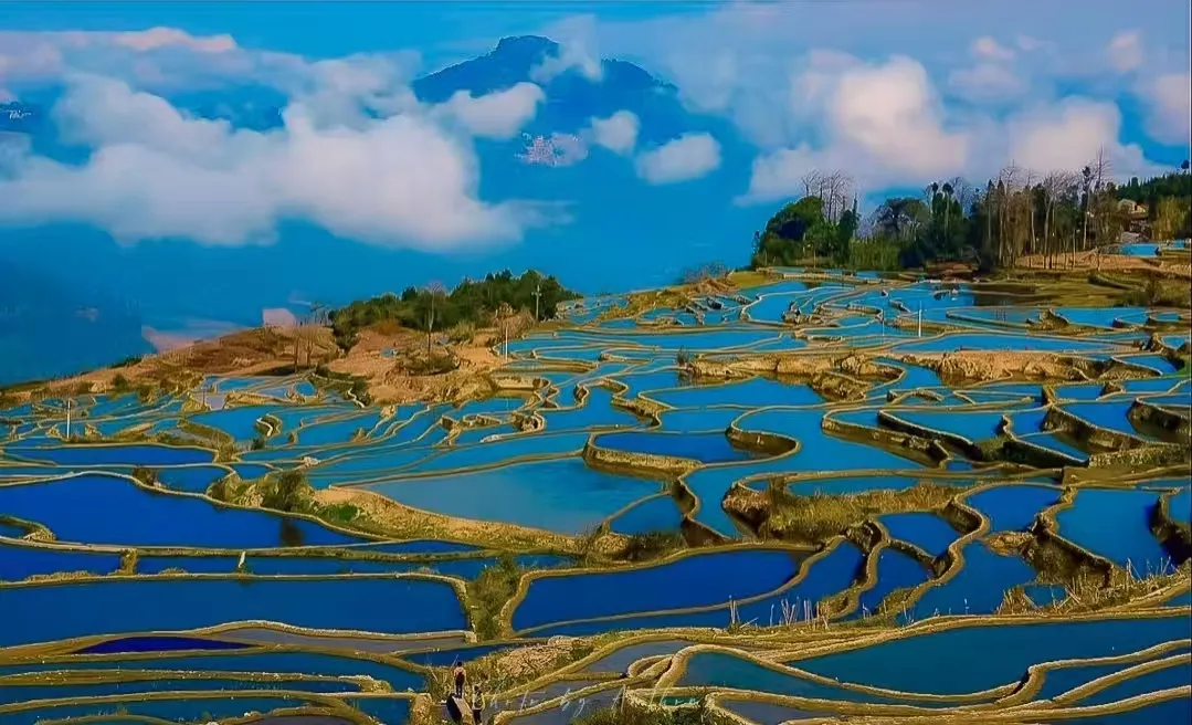 651630ee84be851b026642ec1a92eefc-sz_499568