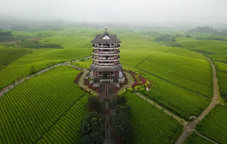 651c847845f06d5b971ebb651819bcb2-sz_2821278