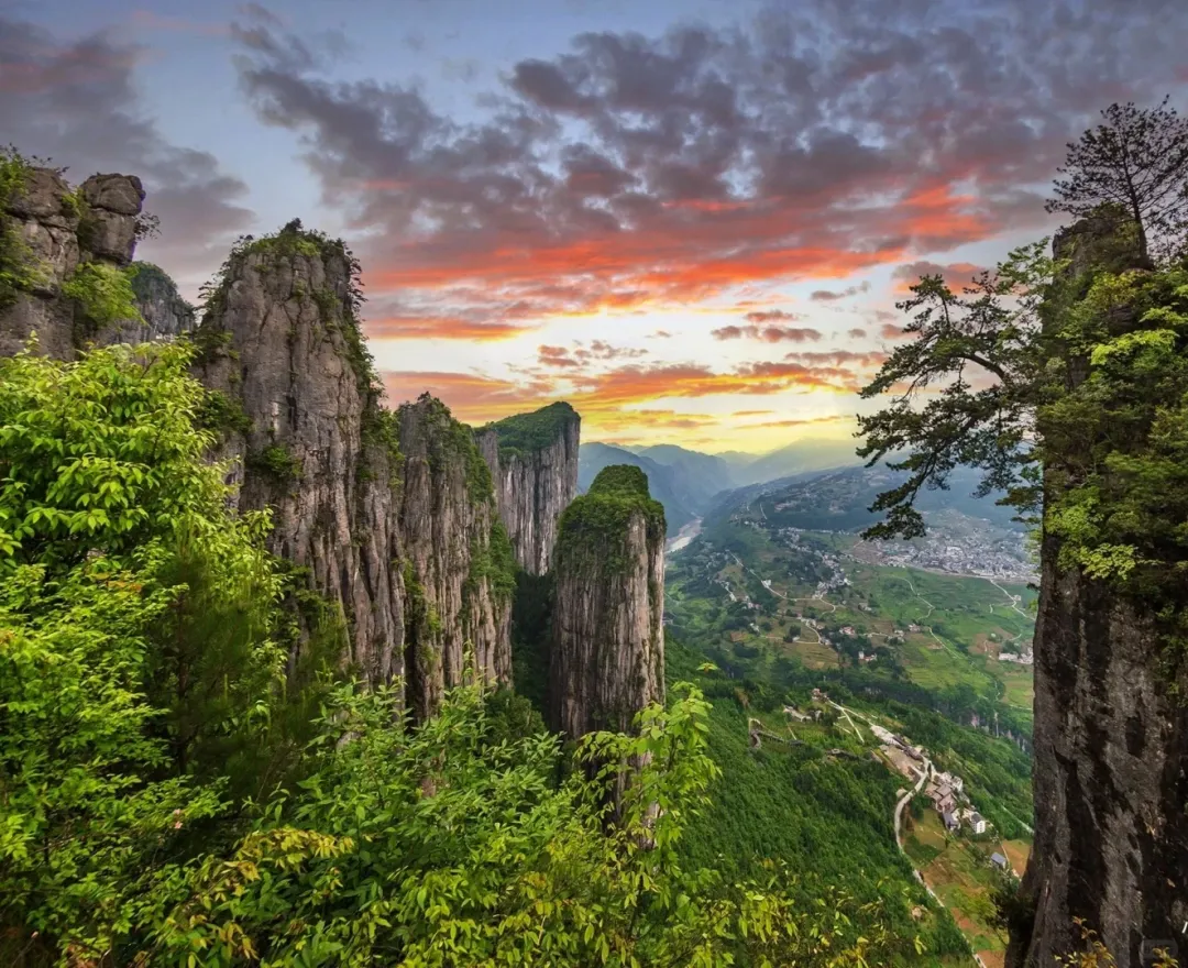 65368f7aae88b09981febb012aca4820-sz_3339162