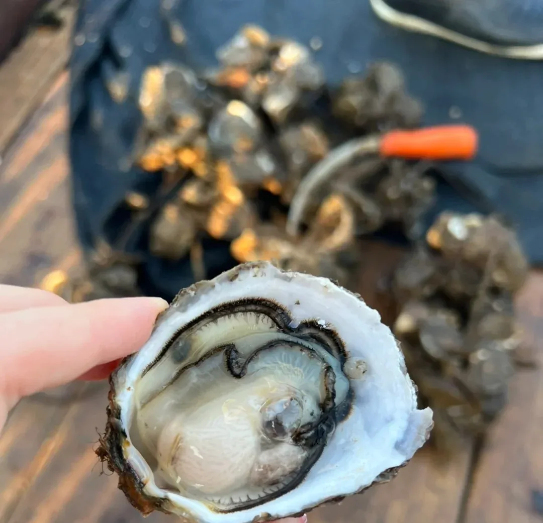 656026924ebde8eb5c6f8f9a45b47a7a-sz_217994