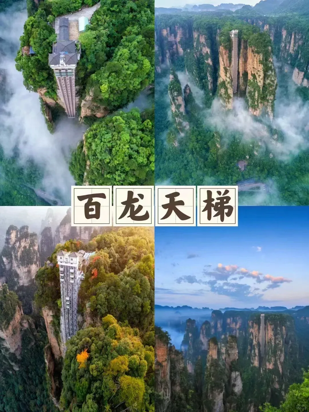 65686c5acc5e43362e9c1890df5f730b-sz_3721901