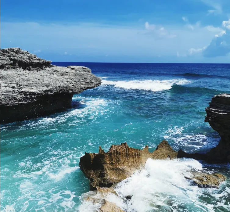 656a1a84504762753298348db4c49768-sz_921476