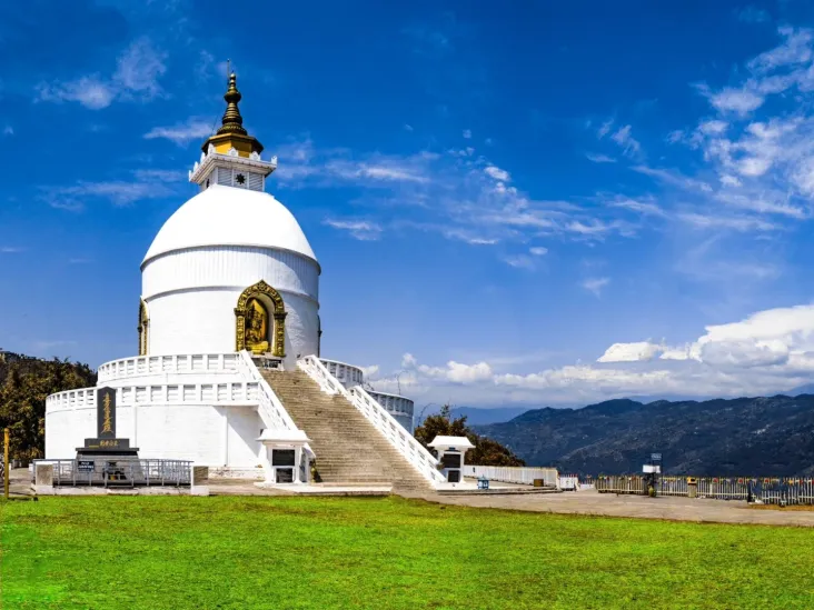 659dd6d176aec55b4167a18d8ba595e3-sz_578416