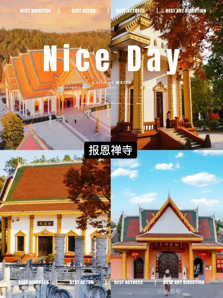 65af6c040eeaffc51c859f8659888386-sz_2403827