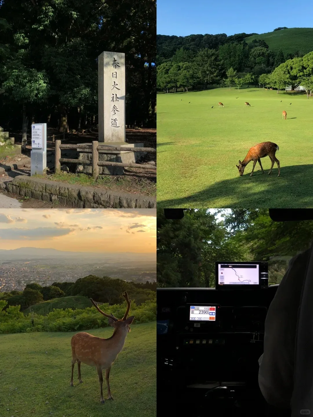 65d35a0162961f3d6e85ada825541c54-sz_424938 65d35a0162961f3d6e85ada825541c54-sz_424938