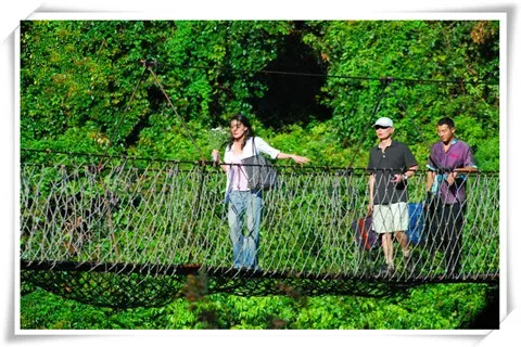 6633e70ee3948a89235972856d81a7a3-sz_108352