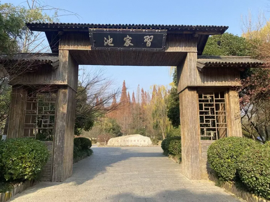 667ab82c20ce5e37acea4d30dbb47492-sz_871605