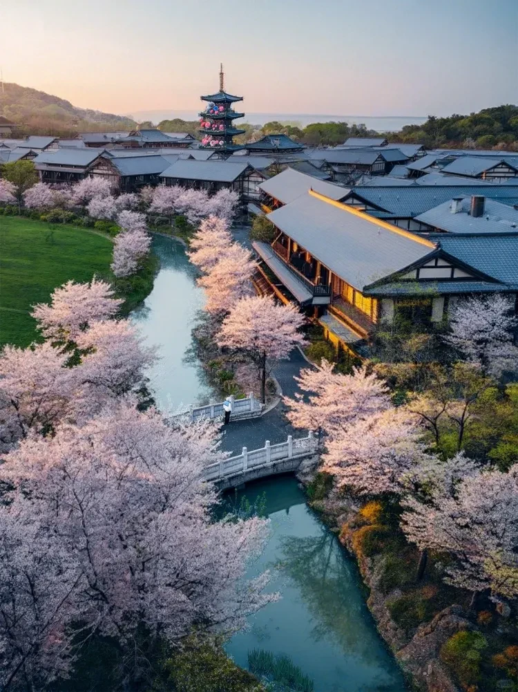 669a76189c8ae92b4fd323996bfd4fad-sz_3789404