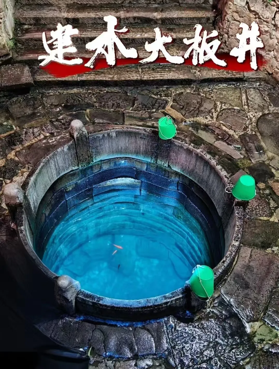 66a95ec826f5f43b89edc127d7762d05-sz_1151815