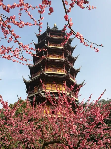 66b2dd00515aa672a8da953ffc8164d3-sz_121691