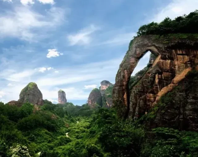 66bfac8c03a5065fec223f519377f398-sz_805313