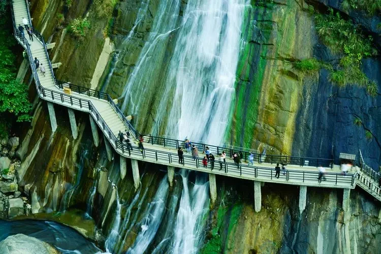 66f885e44be10ccc148aa011a4cafc3b-sz_95118