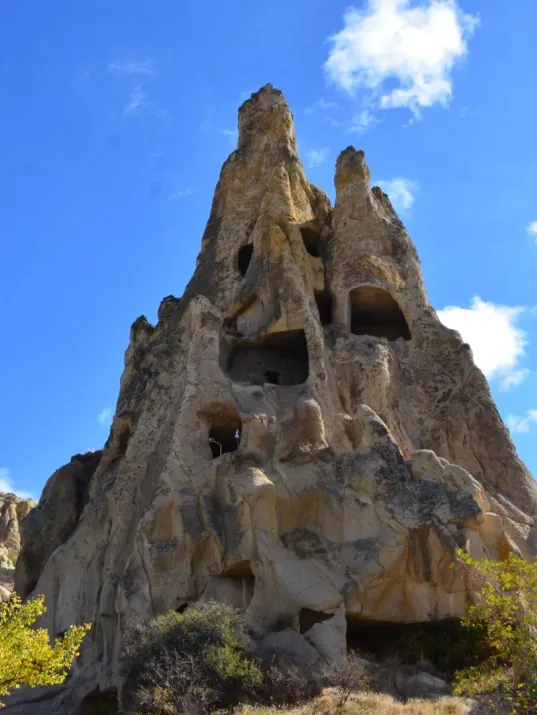 671a852d73328b9dc84c0b726cfec3f8-sz_364947