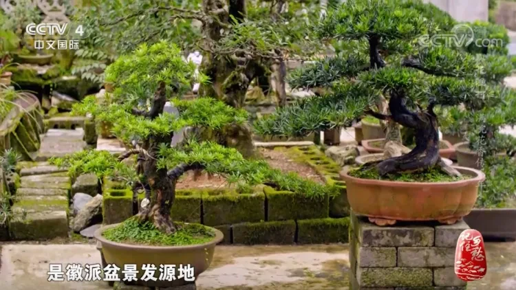 6739f41c1517bd2c33af8fd78655014b-sz_1171274-1