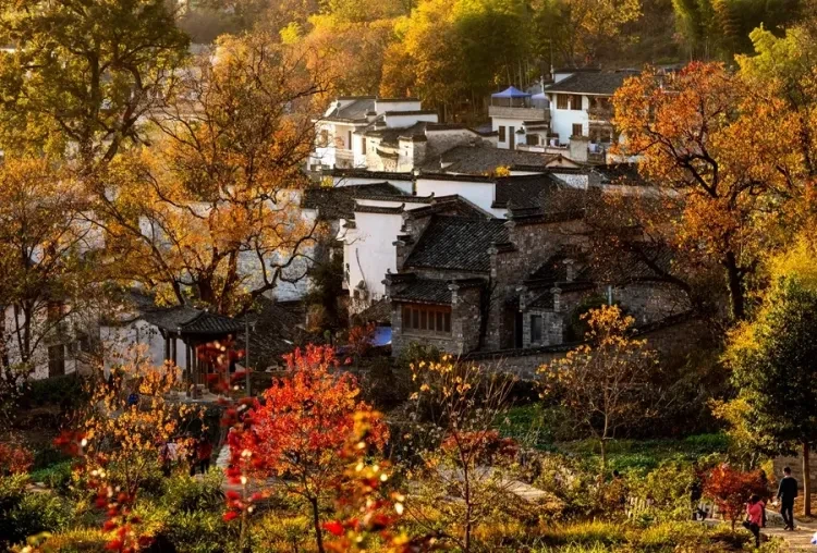 675a6b54cf6964ede39ece553c2304b4-sz_1319134-1 675a6b54cf6964ede39ece553c2304b4-sz_1319134-1