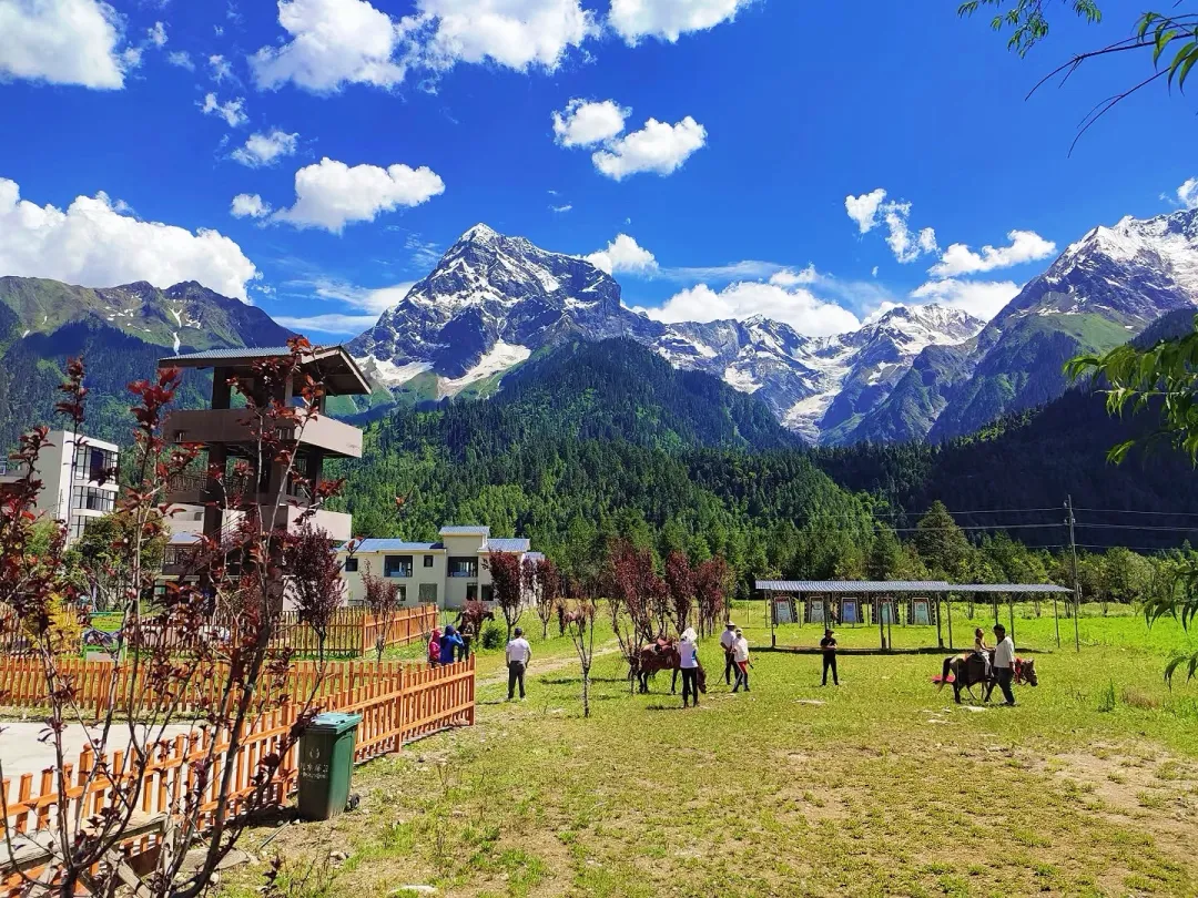 67d6686104ed54424e180fc012866bbb-sz_2392392