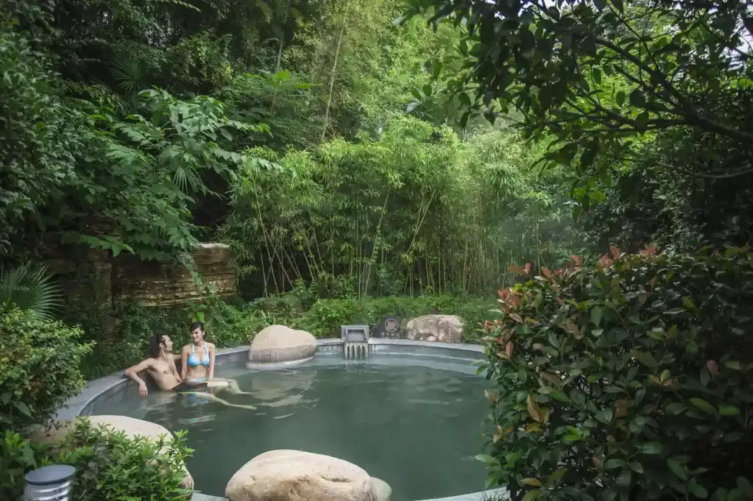 67e234b87c387454b2365930ef6ad0ec-sz_1733499