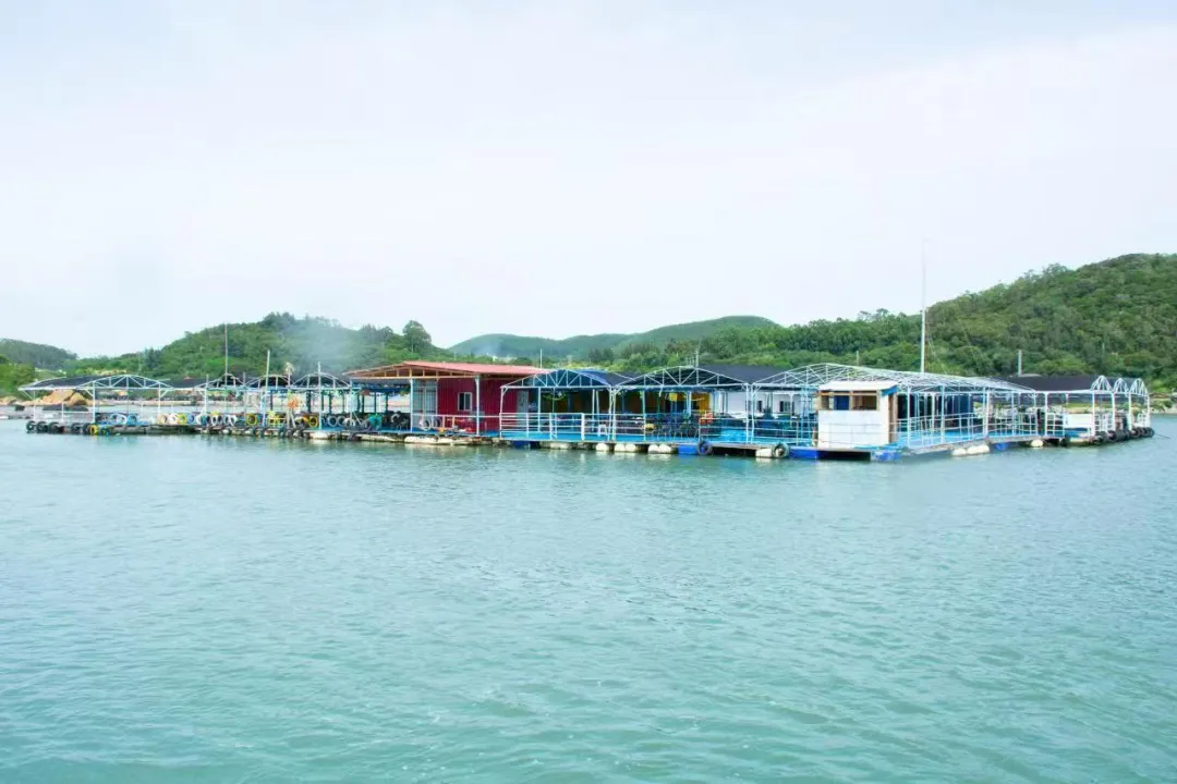 6803c747cf82e63b84a781d2e5f2db6d-sz_1362424-1