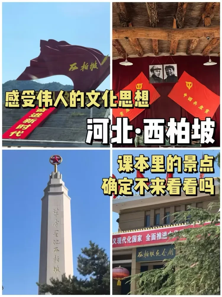 681e98add9f2ce78640aa7bdf091108f-sz_736208