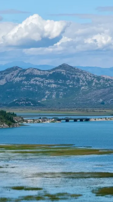 685667aed76c16c56463000632dbf5ac-sz_431419