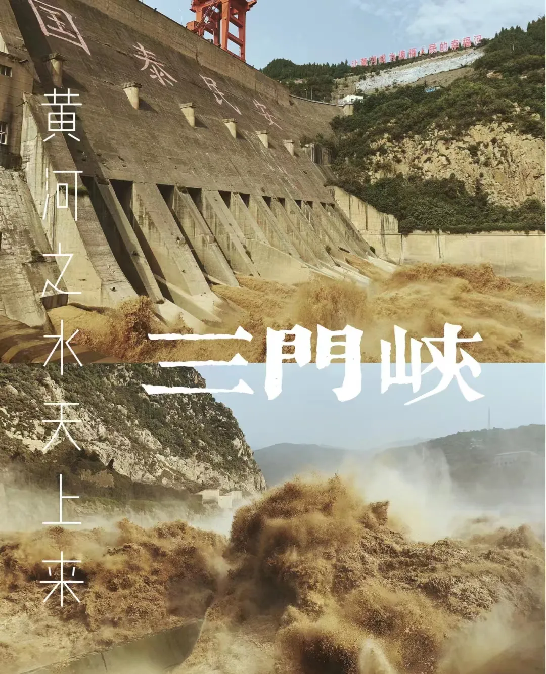 687f606425fc7a017144014b969703ca-sz_1131409