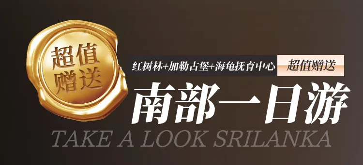 6887765ac2f99bf322b61e2527f7b201-sz_131051