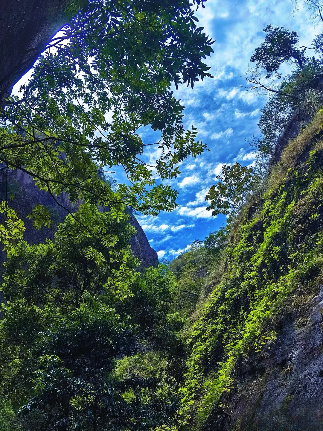 688b1d492798ceb1edbf4162450f58df-sz_5430581