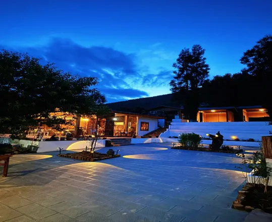 68bb97961ea5169a8e7675c3da80d7f0-sz_476818