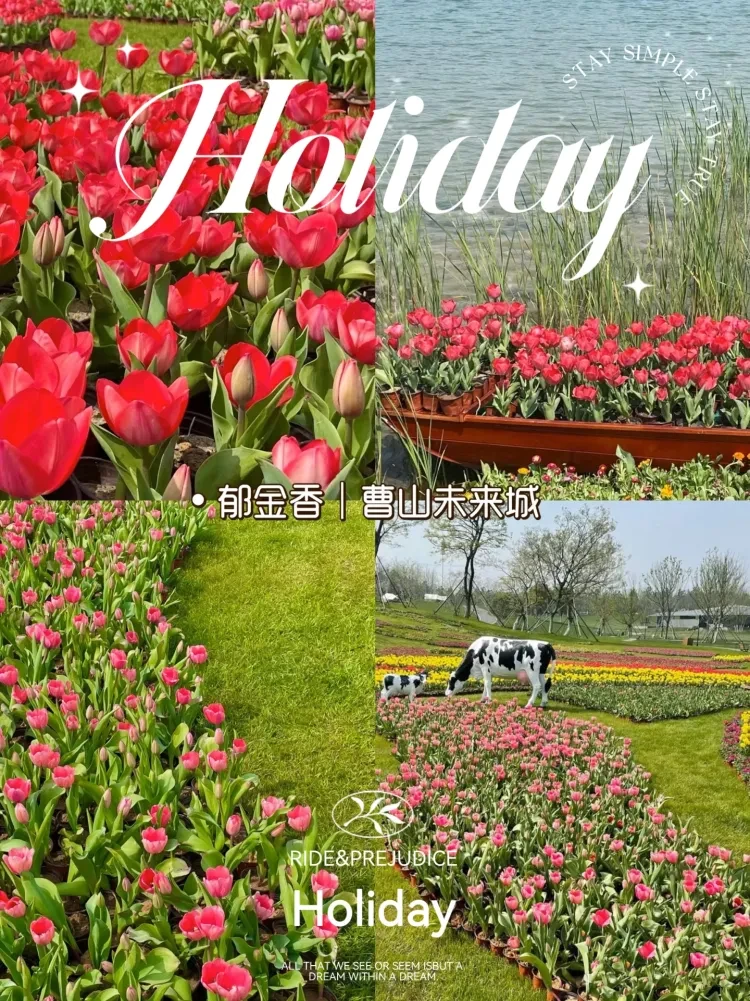 68d185735a58794ee41172c6b8292a06-sz_2352285