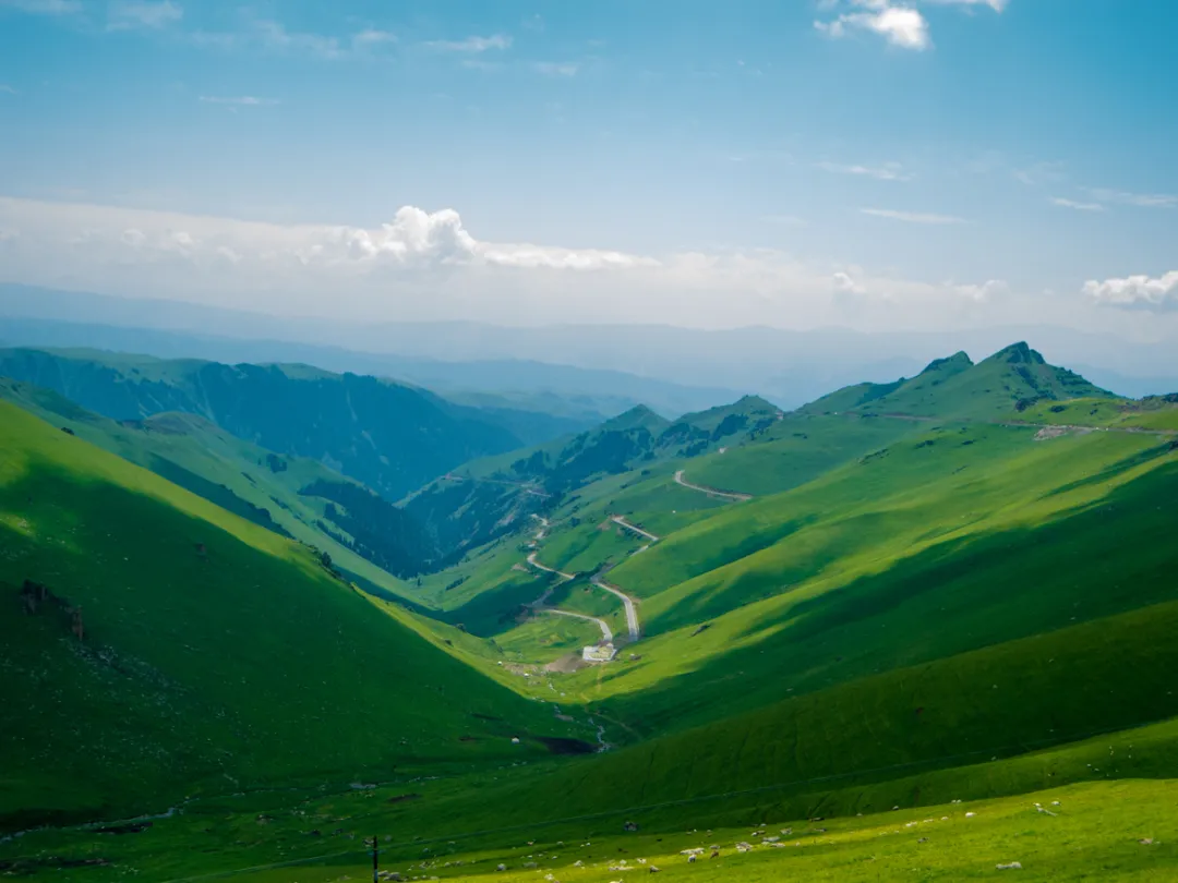 691767e3171cd5a55f02a5884ecc2313-sz_753273