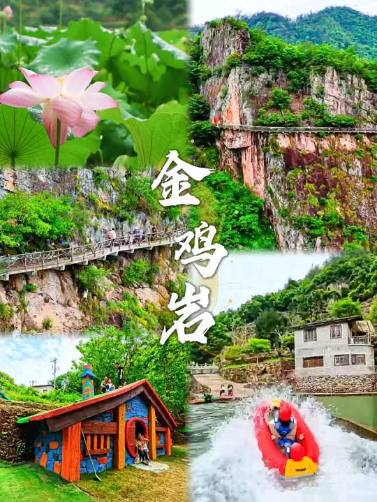 698da5ad4b06decd398adbd158c15935-sz_933237