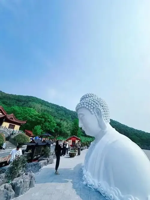 69df7880c4468e196ce1e76fa04dfaa0-sz_90772