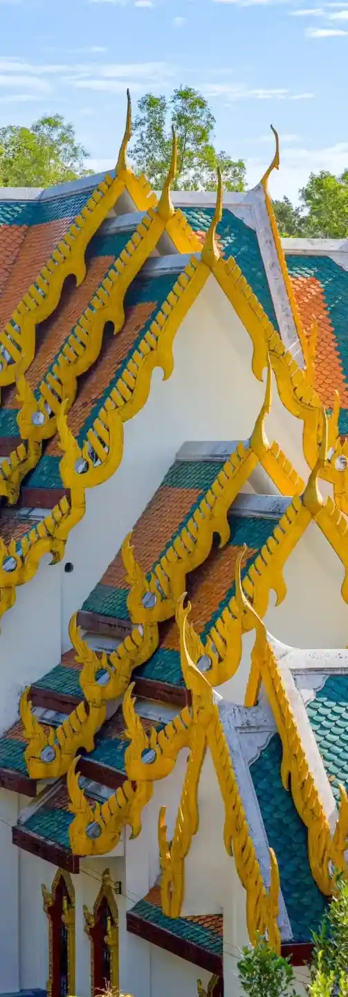 69f1d86a377d4e5f1b59fb1e74eef06f