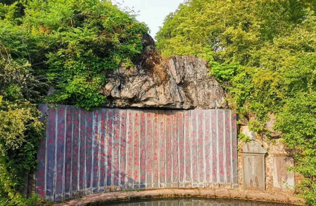 6a2336e02f67cbd5791158d4fa8675b6-sz_275044