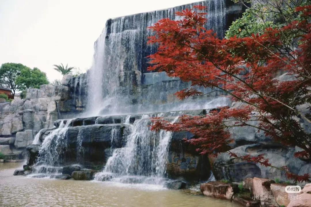 6a5285be220aacfc94c2536ffe21e86f-sz_1356783-1