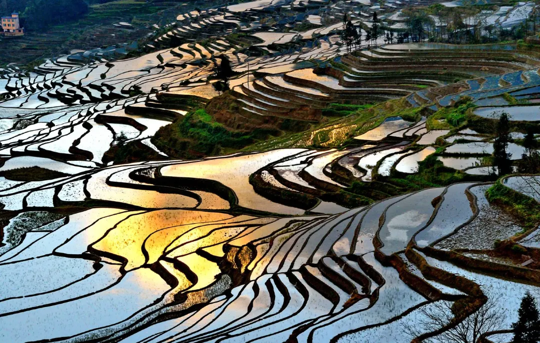 6a5aa54fc13b8f9e4652f38ff1e4d9c7-sz_519637