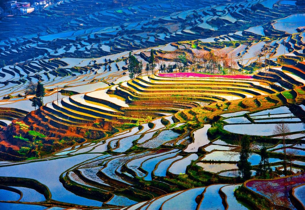 6ae27cca145448059492fb9f7e44e387