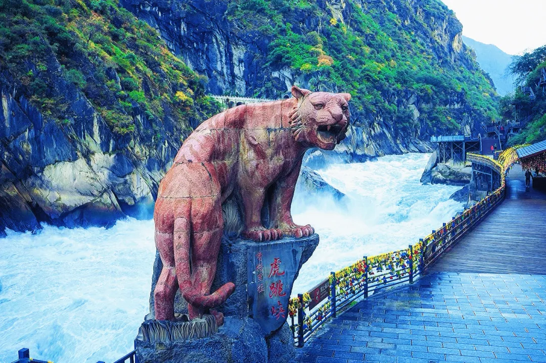 6b4529a0c0b0d8c75c25f5649dcb1725-sz_3128076