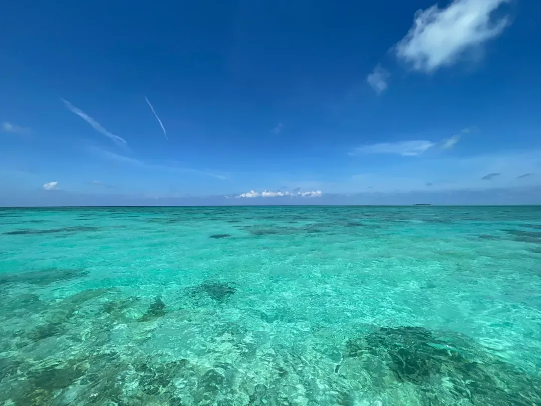 6b61815fd0c50875fc28d1c00a98b30d-sz_1532201