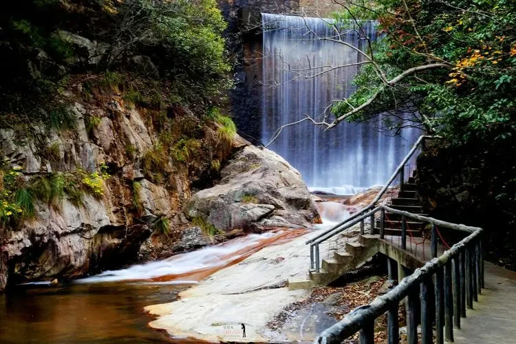 6b7dd99e3af5c9b1c6929da847a17628-sz_103823