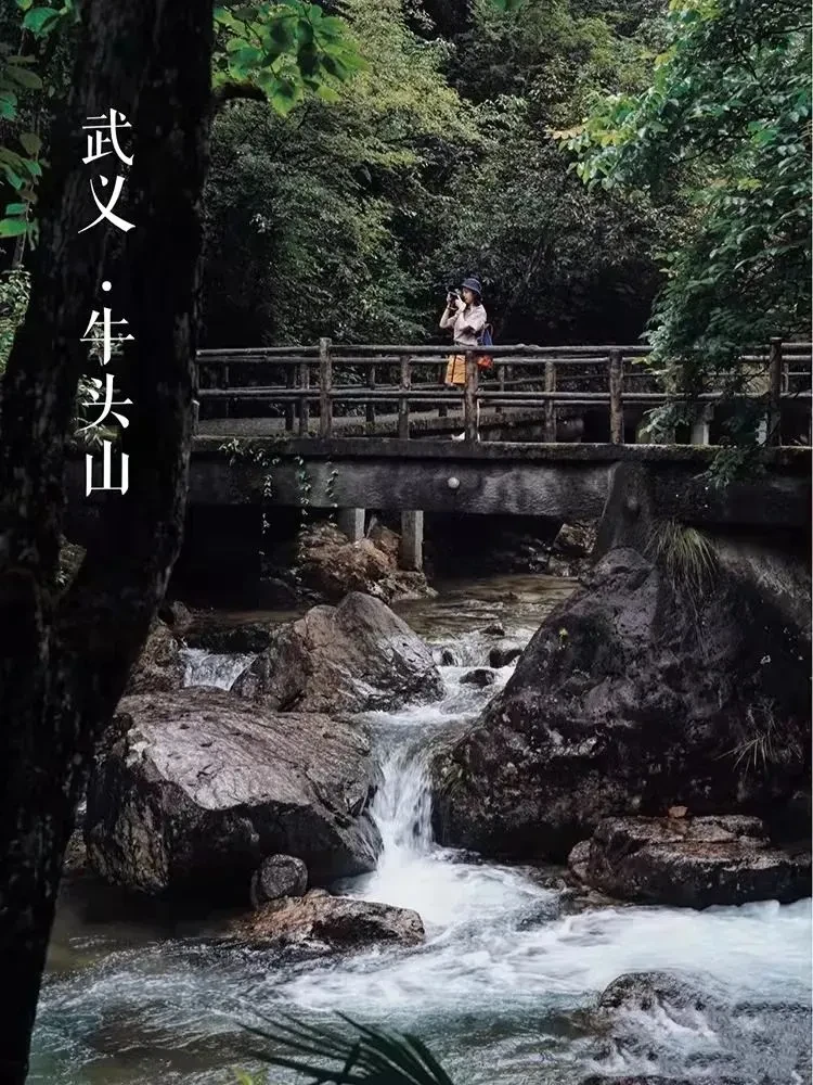 6bd401695cc06e7b073913ff5d4c116a-sz_181930