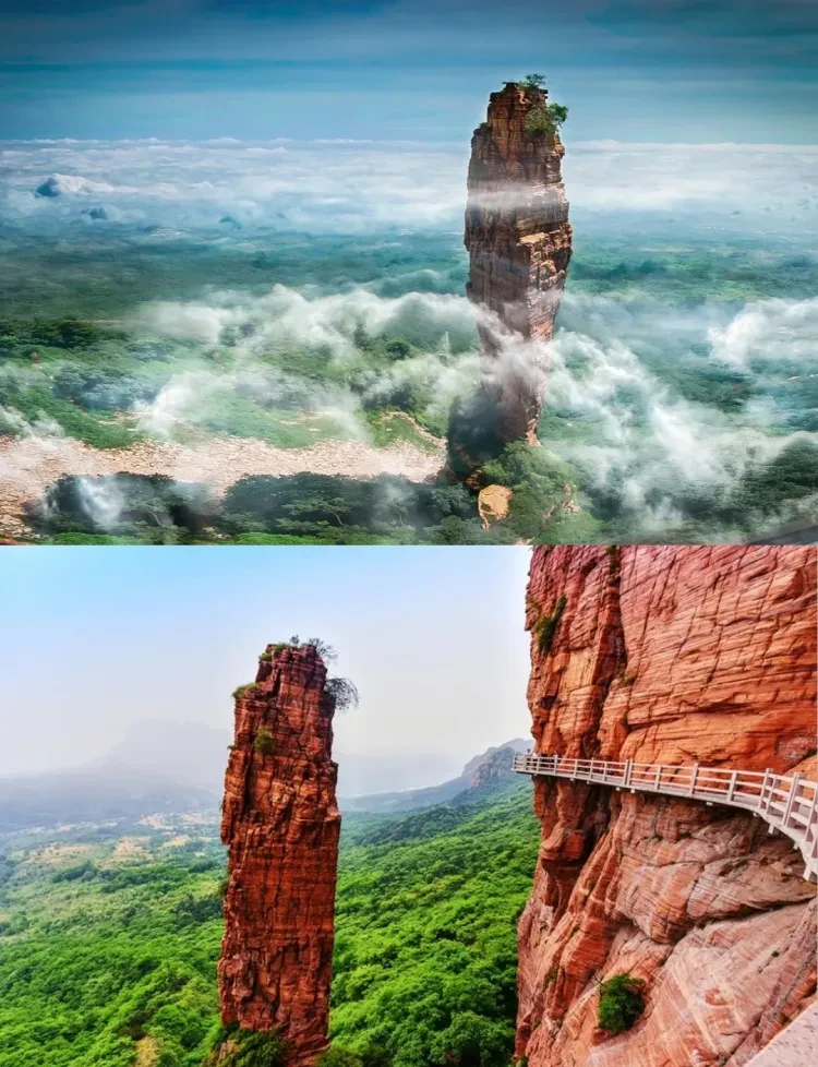 6be0453e81f7bad00d38443077c12c21-sz_2438383