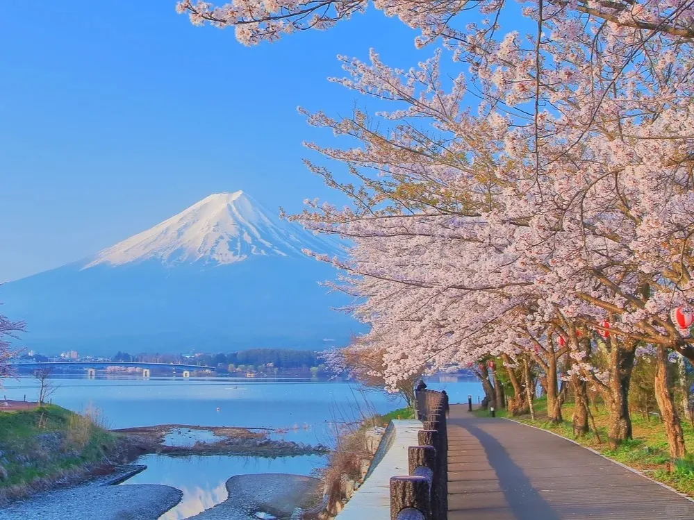 6bf8bfe97bf451f7751a2b3cb94d3973-sz_509762-1